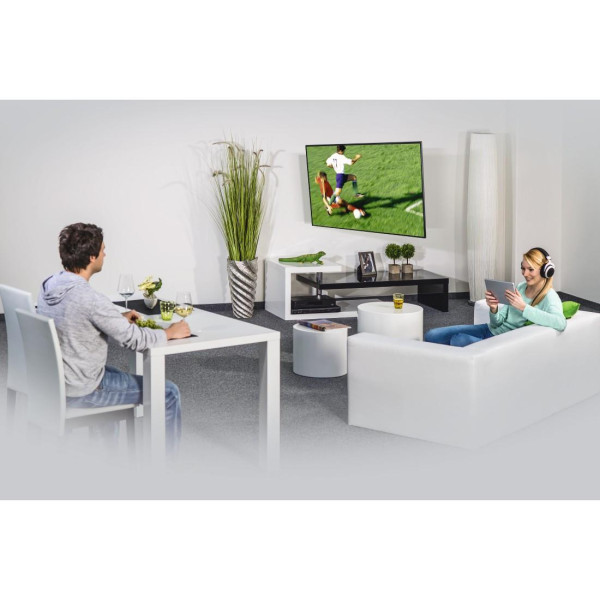 Стенна стойка за TV Fullmotion, 165 см, 32-65 